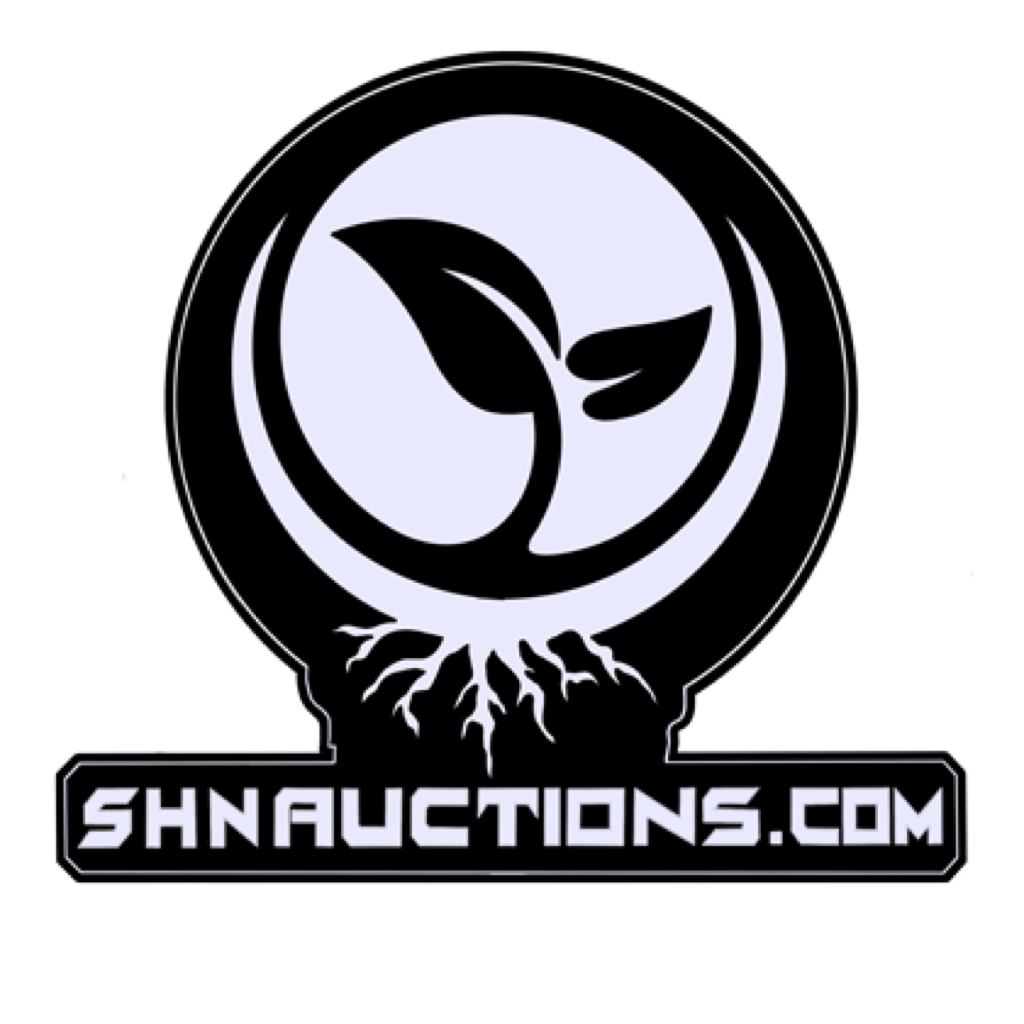 SHN Auctions