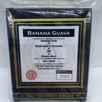 Swamp Boys Seeds - Banana Guava {REG} [12pk]