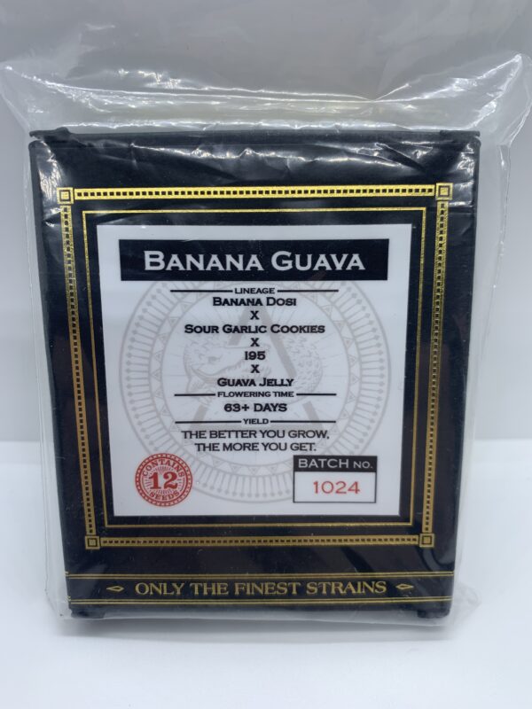 Swamp Boys Seeds - Banana Guava {REG} [12pk]