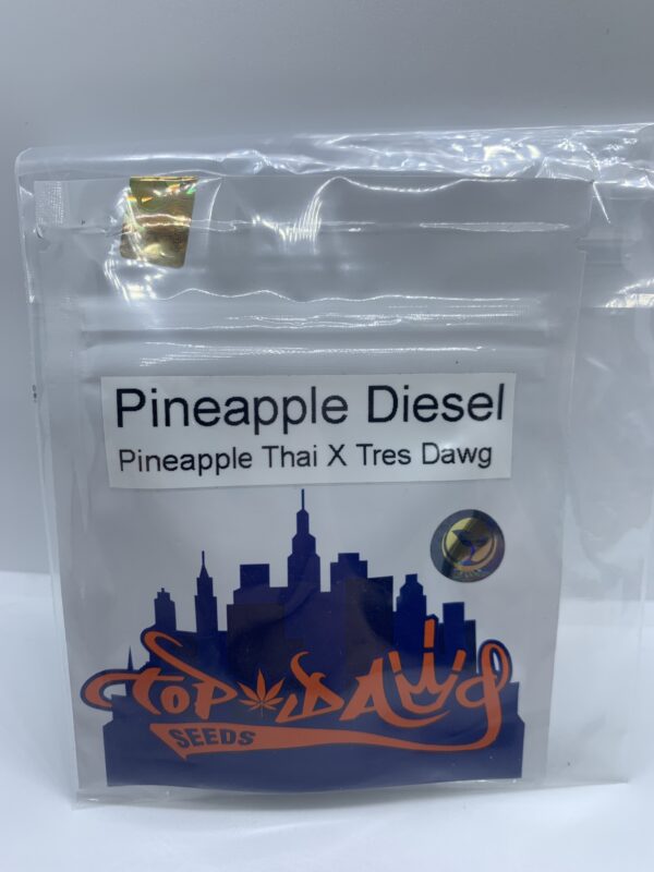 Top Dawg Seeds - Pineapple Diesel {REG} [11pk]