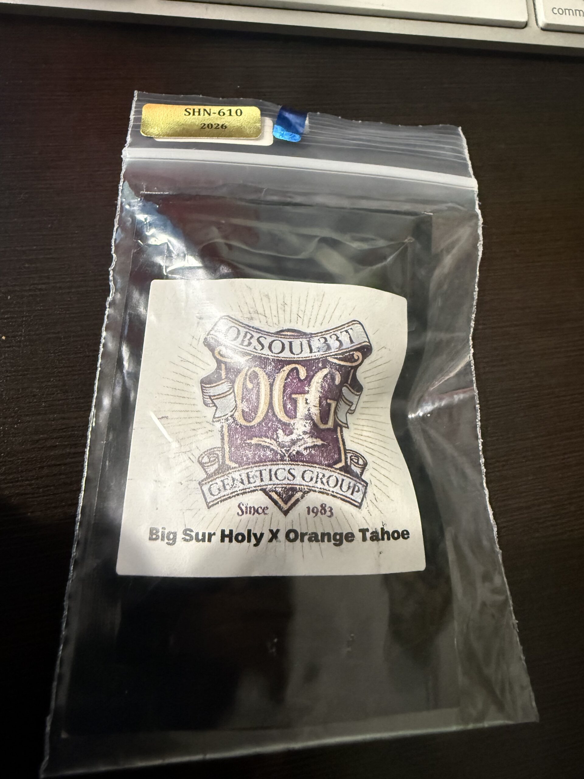 Big Sur Holy Weed x Orange Tahoe – Obsoul33t – Uber Rare