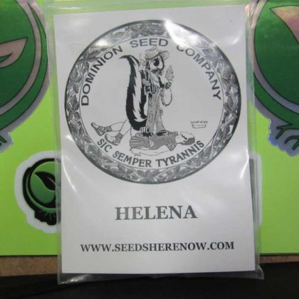 Dominion Seed Company – Helena + Strawberry Diesel x C99 {REG} [13pk], Free Seed With Every Order