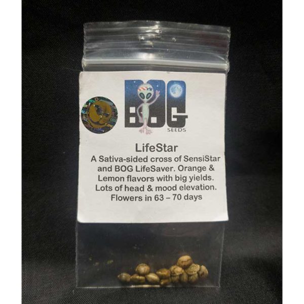 Lifestar 13pk Reg