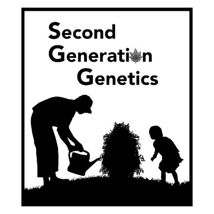 Second Generation Genetics