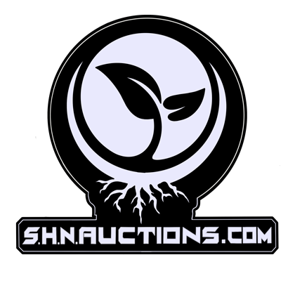 SHN Auctions