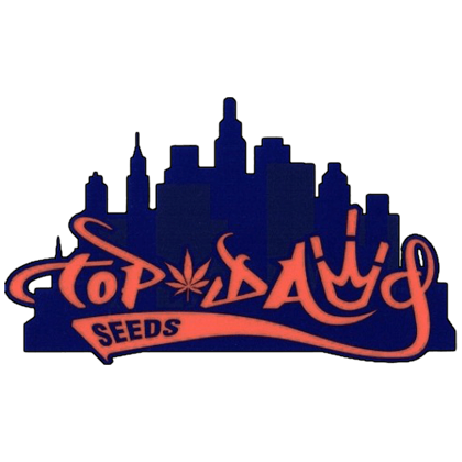 Top Dawg Seeds