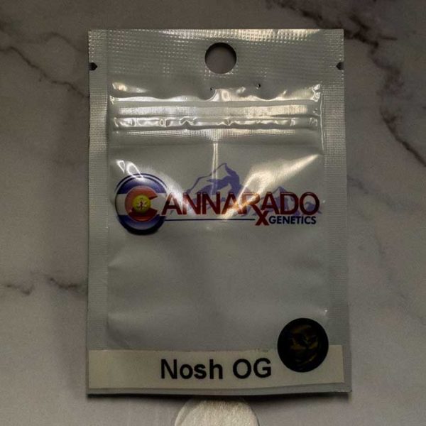 Lot #91 Cannarado Nosh OG (Jew Gold X White) [FEM] [10pk]