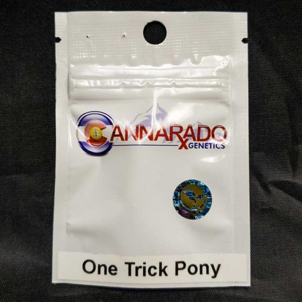 Lot #44 Cannarado Genetics One Trick Pony  (GG4 X TK91) [Fem] [6pk]