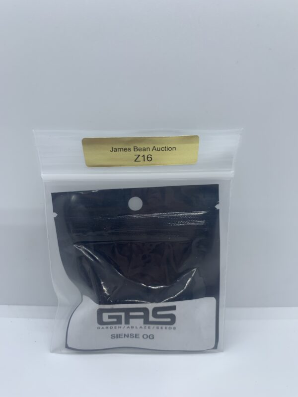 Lot.Z16 G.A.S – Siense OG {REG} [5pk]