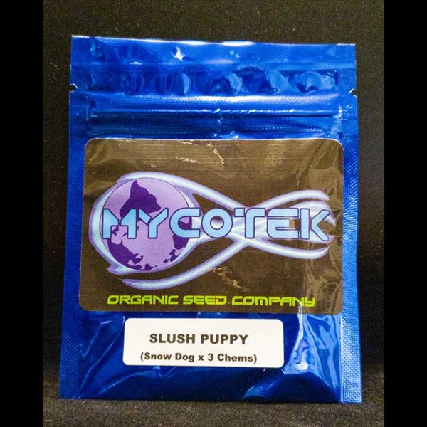 Lot #88 Mycotek Slush Puppy (Snow Dog x 3 Chems) [REG] [10pk]