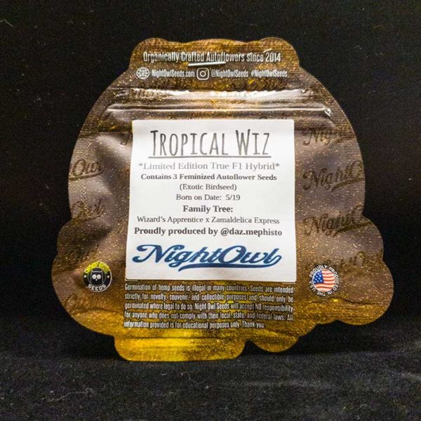 Lot #94 Night Owl Wizard’s Apprentice F4 (Cheech Wizard x Auto Skywalker [(Green Curry Og X Snow Lotus) X (Auto Skywalker )] F4) [AUTOFEM] [3pk] - Image 2